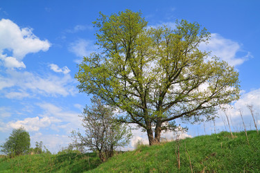 Similar image 894153