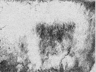 Similar image 894172