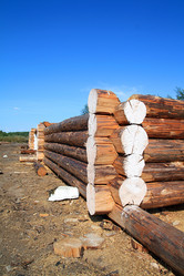 Similar image 894180