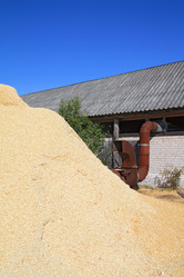 Similar image 894206