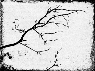 Similar image 894249