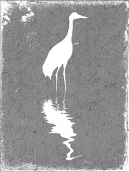 Similar image 894254