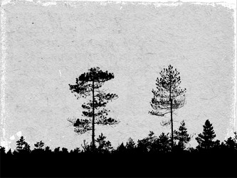 Similar image 894265