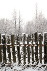 Similar image 894268