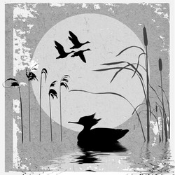 Similar image 894273