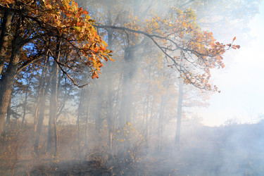 Similar image 894282