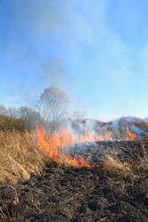 Similar image 894302