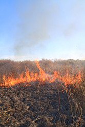 Similar image 894315