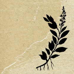 Similar image 894327