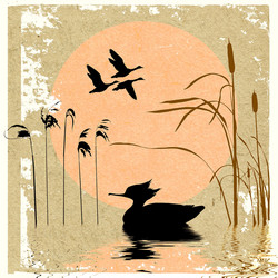 Similar image 894330