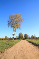 Similar image 894331