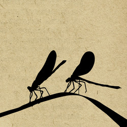 Similar image 894334