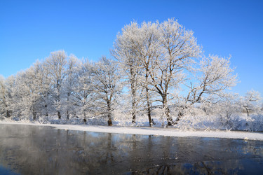 Similar image 894345