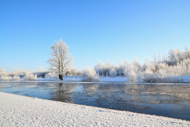 Similar image 894352