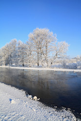 Similar image 894383