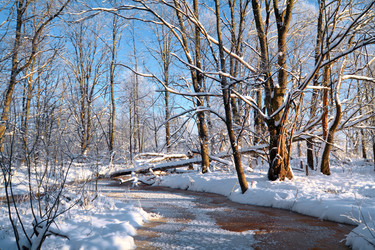 Similar image 894391