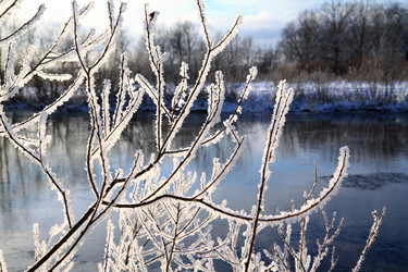 Similar image 894395