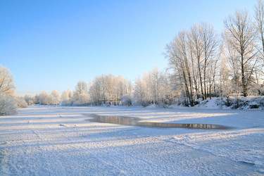 Similar image 894396