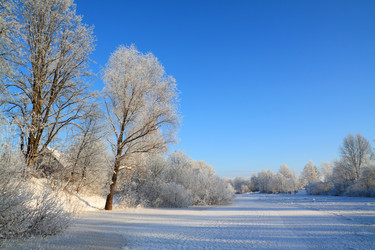 Similar image 894397