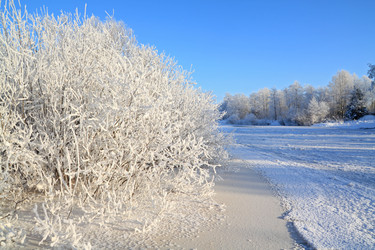 Similar image 894398