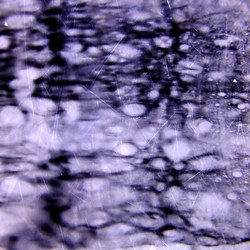 Similar image 894491