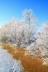 Similar image 894505