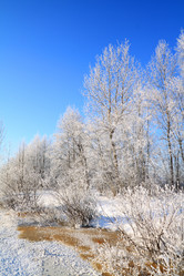 Similar image 894506