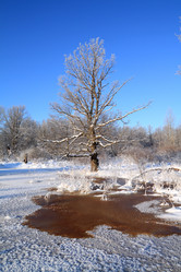 Similar image 894507