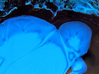 Similar image 894516