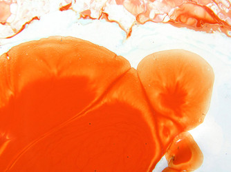 Similar image 894518