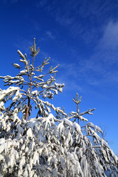 Similar image 894528