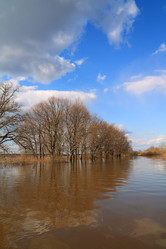 Similar image 894555