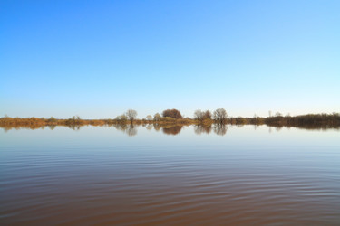 Similar image 894562