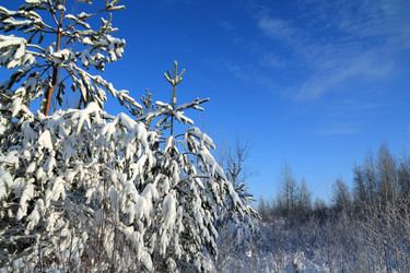 Similar image 894563