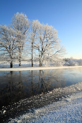 Similar image 894565