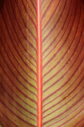 Similar image 894574