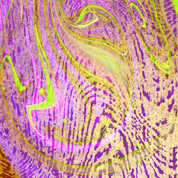 Similar image 894582