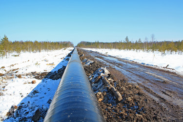 Similar image 894598