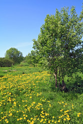 Similar image 894601