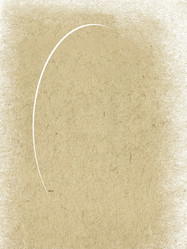 Similar image 894657