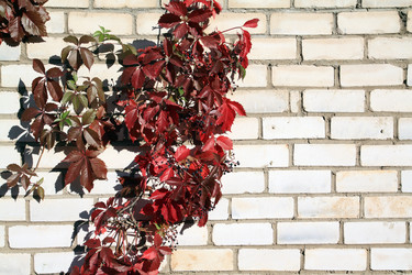 Similar image 894705