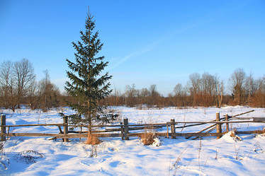 Similar image 894709