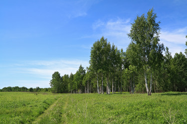 Similar image 894711