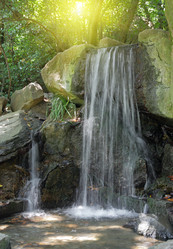 Similar image 894721