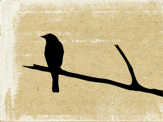 Similar image 894767