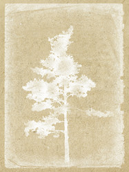 Similar image 894786