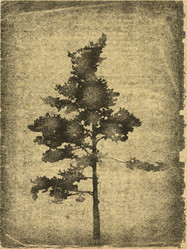 Similar image 894789