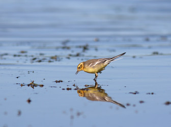 Similar image 894793