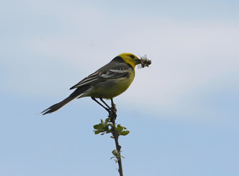 Similar image 894794