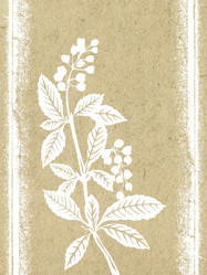 Similar image 894804